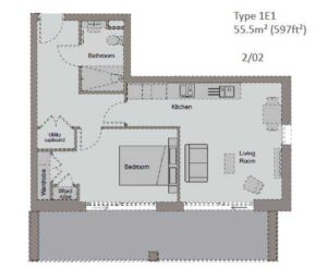 type-1e1