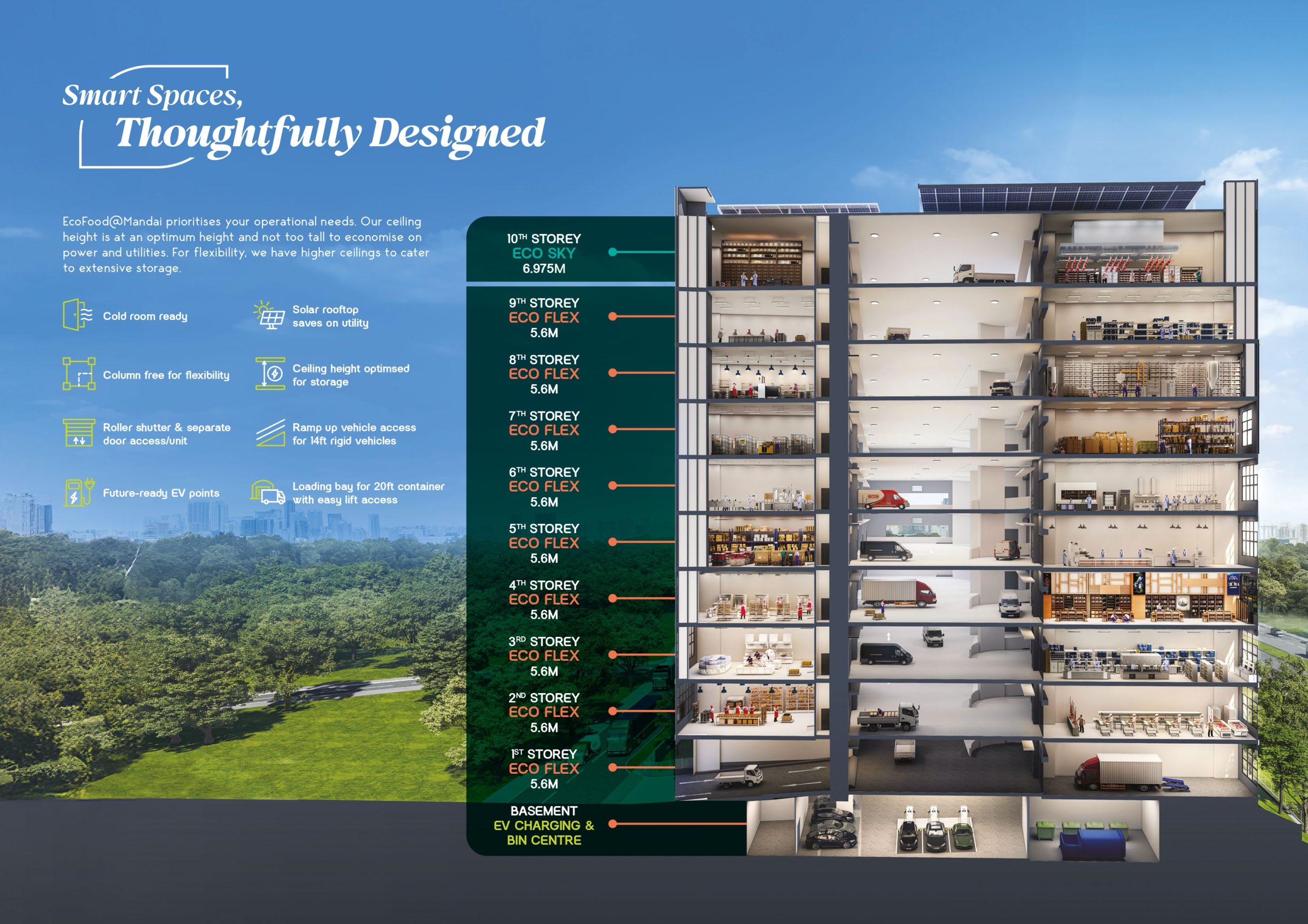 EcoFood Cross Section – Ceiling Height