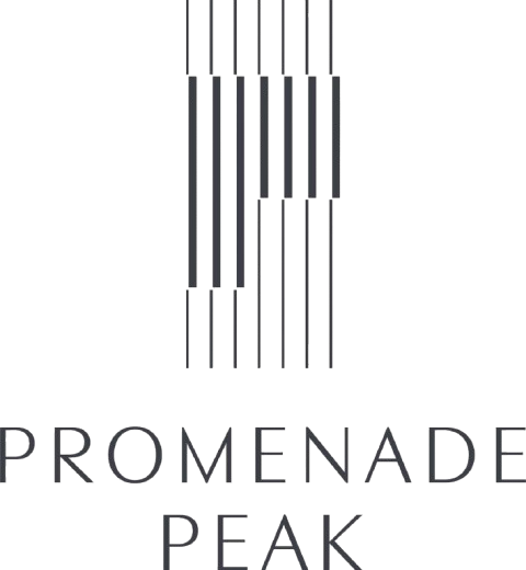 Promenade Peak Official Logo Removebg Preview