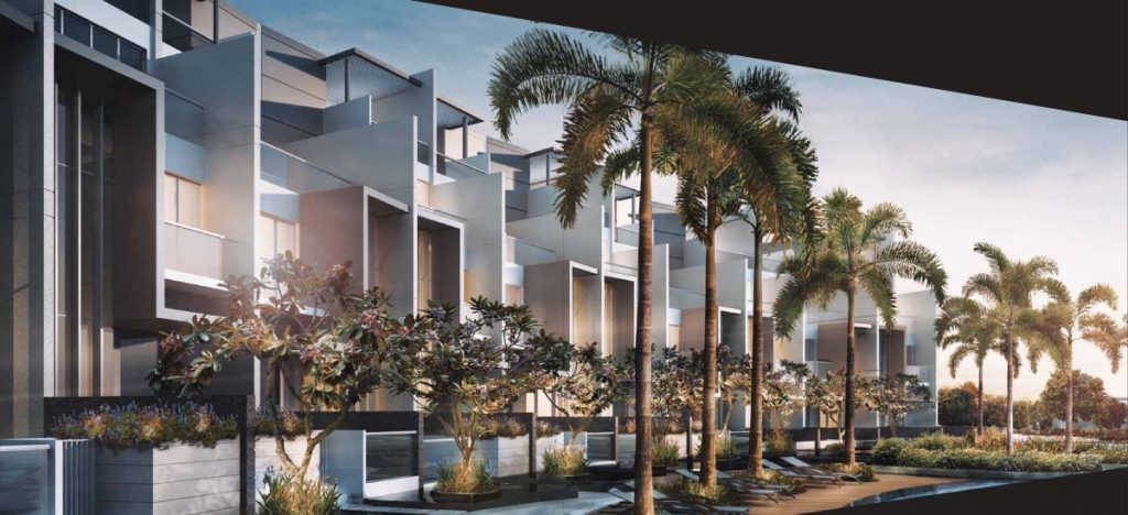 Skies Miltonia – Project Photo 3