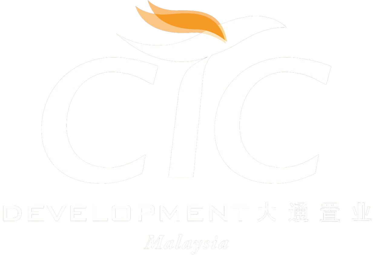 CTC SKYONE LOGO