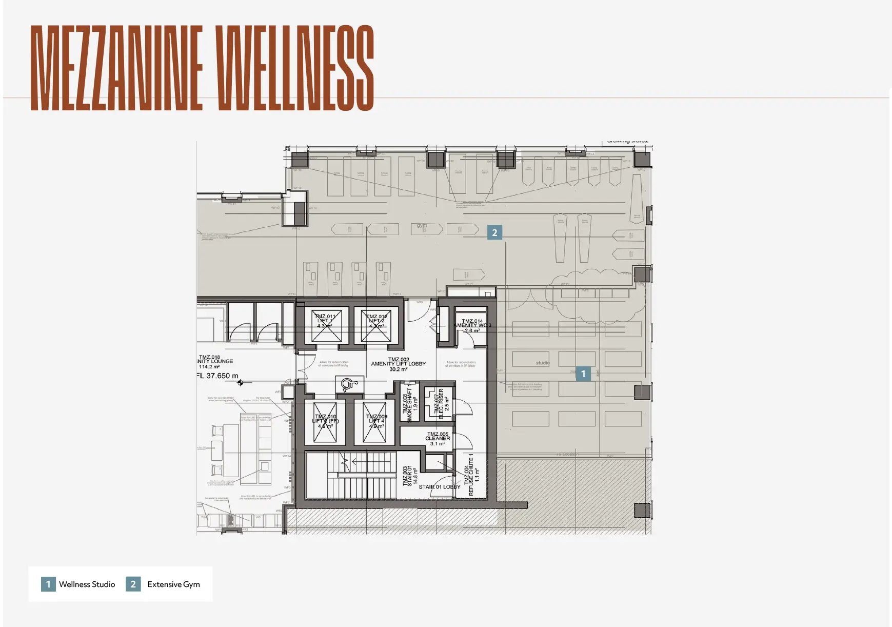 Mezinine Wellness