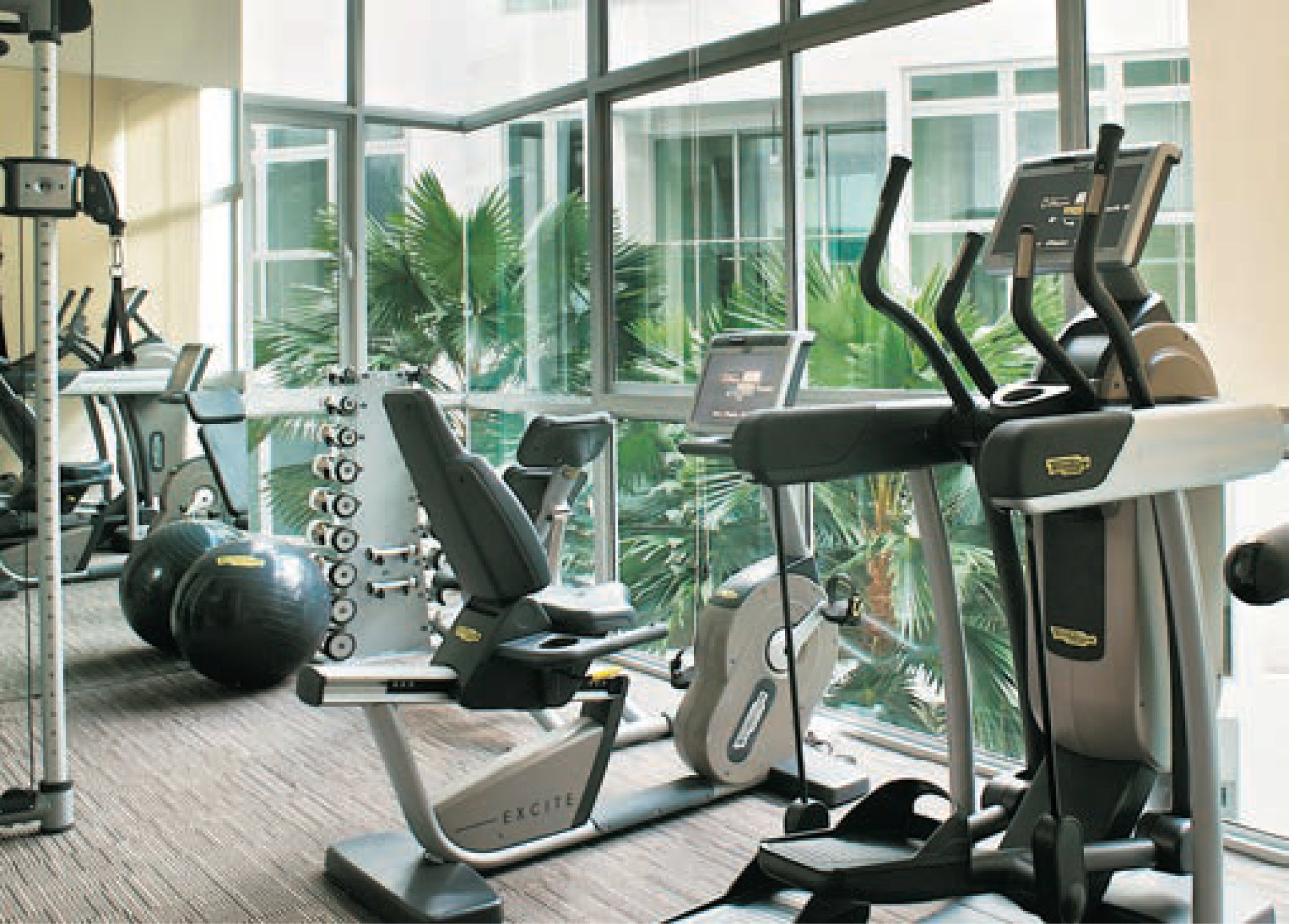 Residences At Emerald Hill 10