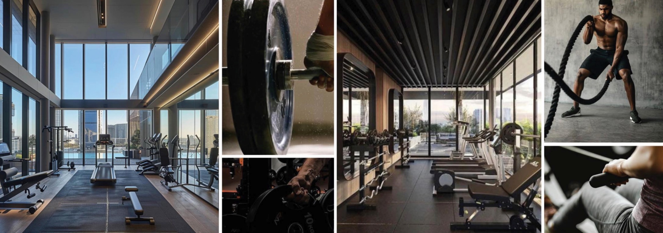 ELO 3 Damac – Gym