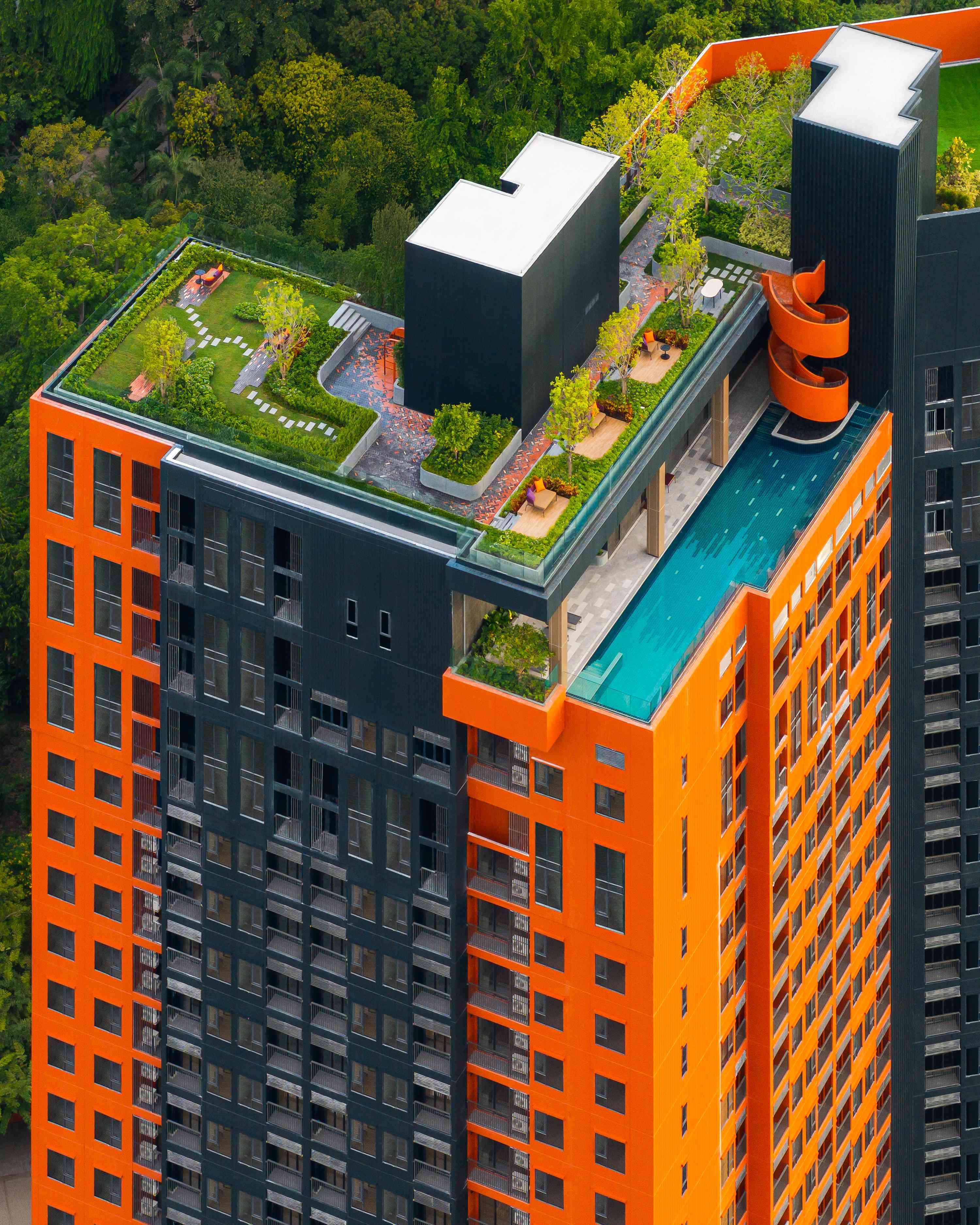 Rooftop garden and pool